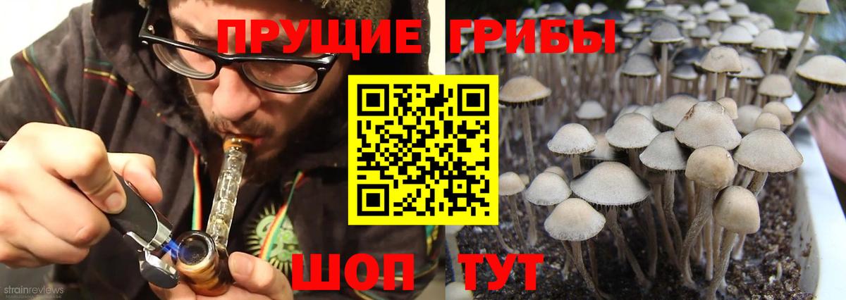 Галлюциногенные грибы MAGIC MUSHROOMS  Вход с VPN  Псилоцибиновые грибы Psilocybine cubensis  Калининград 
